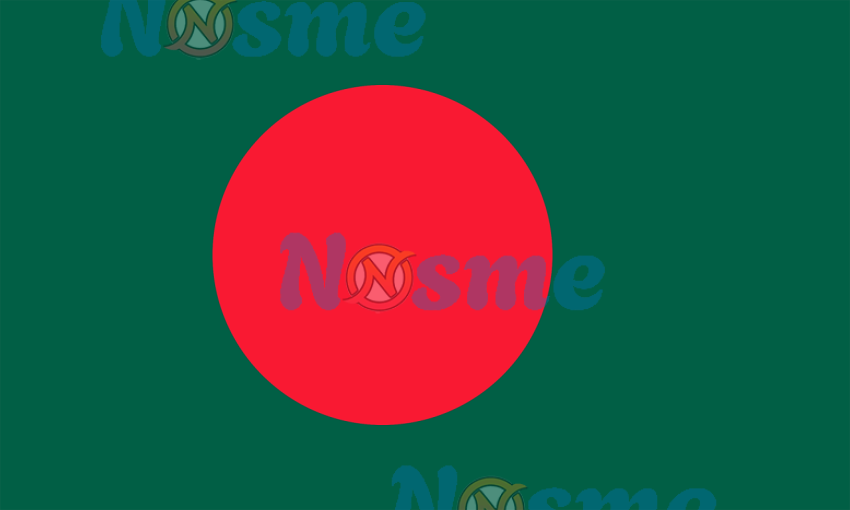 বাংলাদেশ পতাকা হাই রেজোলিউশন PNG